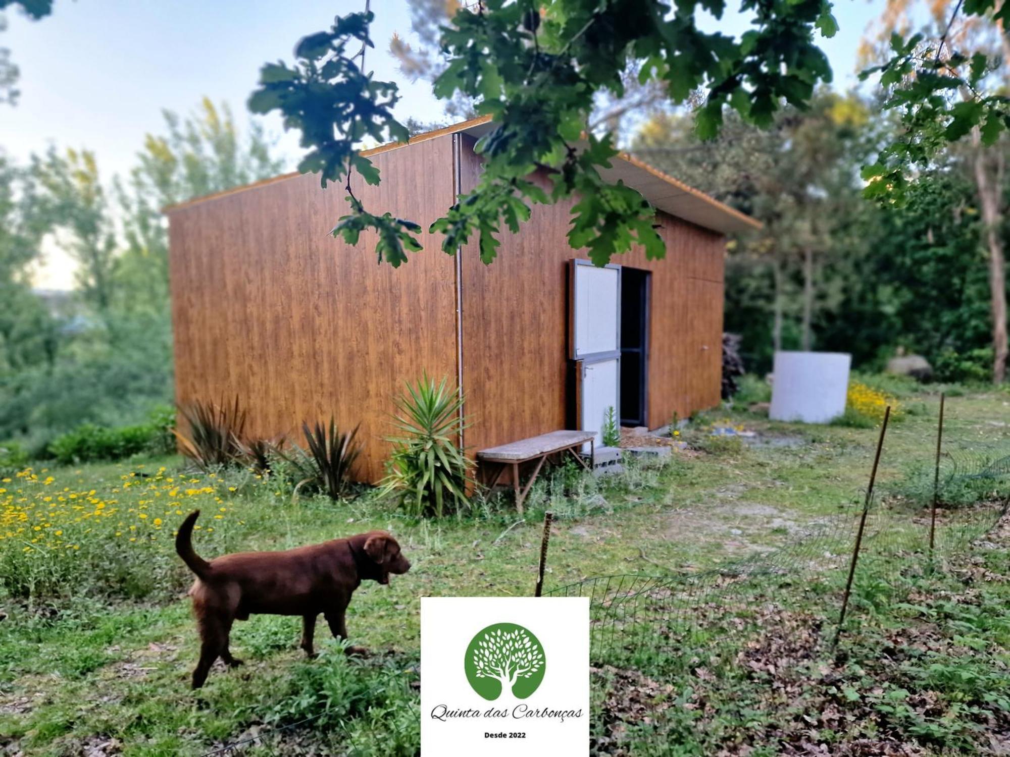 Quinta Das Carboncas Fafe Exterior photo